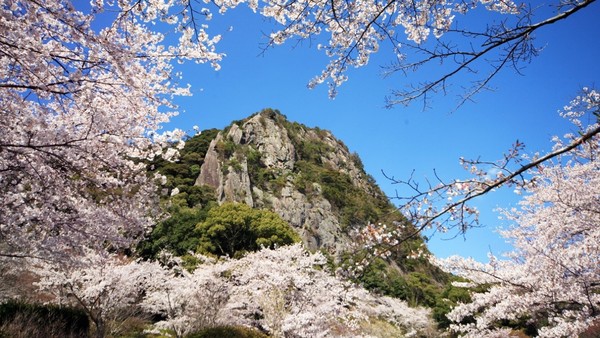 ▲（圖／盈達旅遊提供）