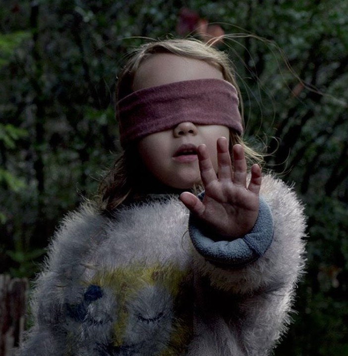 ▲bird box。（圖／翻攝自IG@birdboxmovie）