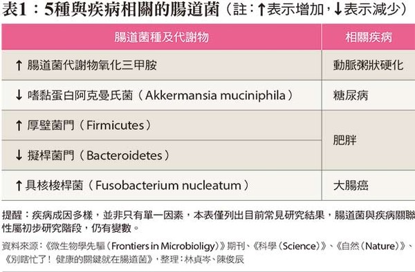 ▲腸胃問題,巴金森氏症,肥胖,心血管疾病 。(圖/康健雜誌提供)