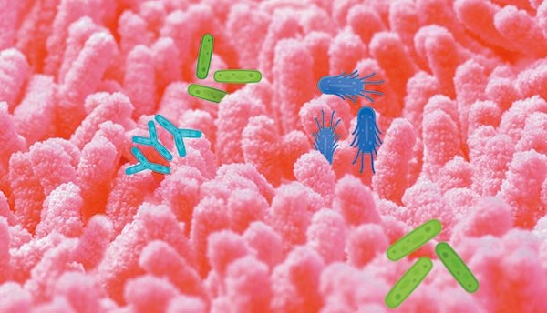 ▲腸胃問題,巴金森氏症,肥胖,心血管疾病 。(圖/康健雜誌提供)