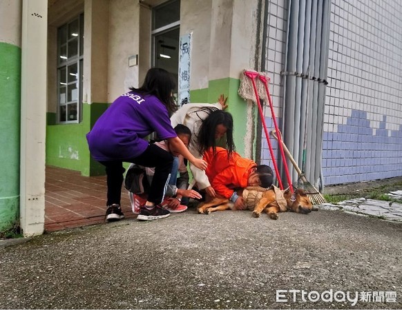 ▲校犬布朗妮。（圖／網友Vanessa Lin授權提供）