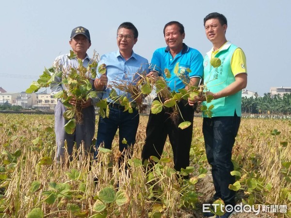 ▲近70歲陳正洲栽種萬丹紅豆　第一次眉開眼笑▼             。（圖／記者陳崑福翻攝）