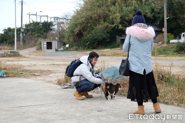 ▲北九州小倉藍島,貓之島。（圖／記者于佳云攝）