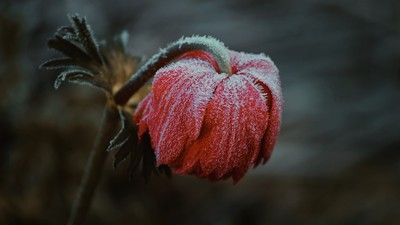 長太美抹泥巴自保！民女遭士兵強行帶走性侵整夜