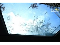 ▲▼宜蘭天ㄟ露營車。（圖／虎虎龍龍和珍太妃 親子生活旅遊札記提供）