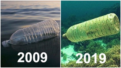 負能量「2009vs2019」！十年過去，熱情榨乾依然窮　垃圾還在水裡漂
