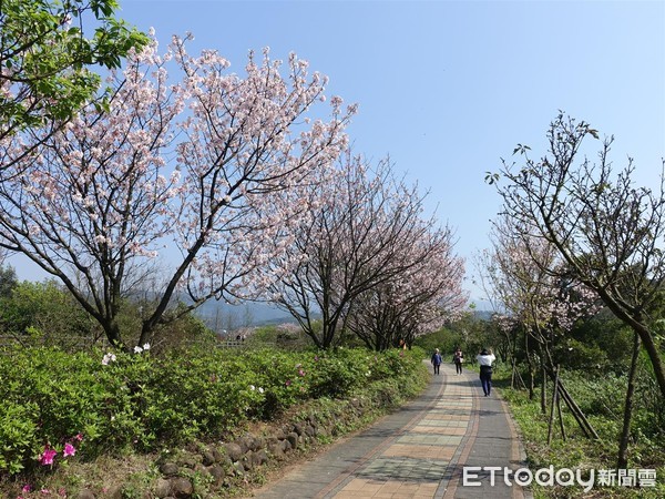 ▲ 新北三大「農再社區」生態漫遊 農村再生秘境不藏私。（圖／新北市農業局提供）