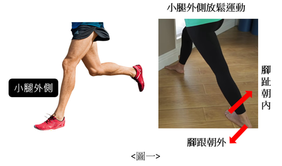 ▲▼過年痠痛。(圖/全民人體力學提供)