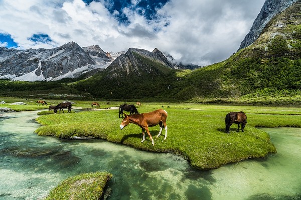 ▲中國、東南亞▼             。（圖／五福旅遊、shutterstock.com提供）