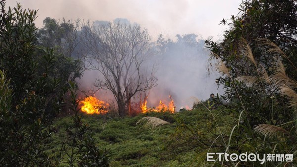 ▲▼台北市劍南路山林起火。(圖/記者黃彥傑攝)