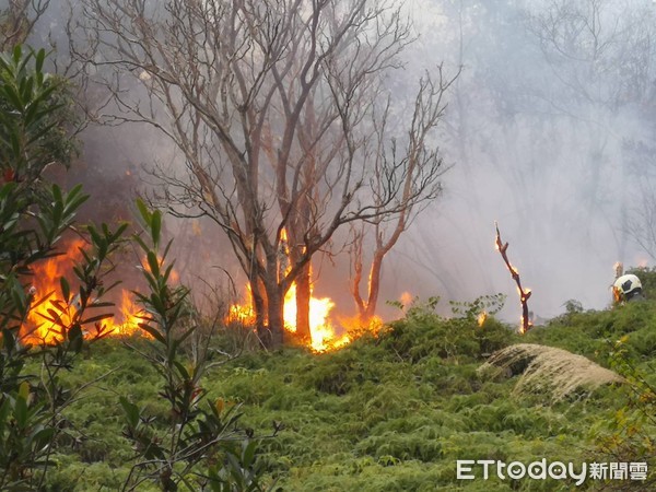 ▲▼台北市劍南路山林起火。(圖/記者黃彥傑攝)