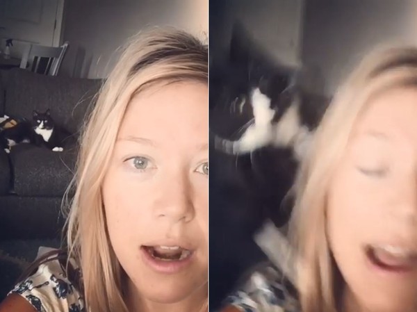 ▲黑白貓一聽到媽媽唱歌秒巴頭伺候。(圖/翻攝自IG@ohreally_helen)