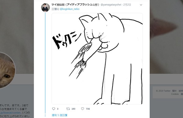 心機小虎斑「神力回彈」胖橘貓！（圖／翻攝自Twitter用戶「koginkun_neko」）