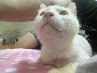 （圖／網友艾莉授權提供）
