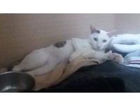 （圖／網友艾莉授權提供）