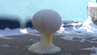 零下30度雞蛋結冰「連同蛋殼站立在地」　網笑稱：雪地上的裝置藝術