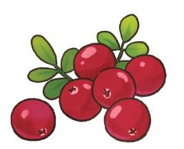 ▲吃了頂呱呱!「5蔬果」讓狗狗變聰明。(圖/毛起來提供)