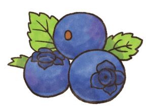 ▲吃了頂呱呱!「5蔬果」讓狗狗變聰明。(圖/毛起來提供)