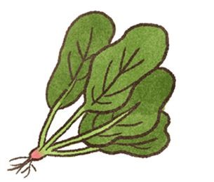 ▲吃了頂呱呱!「5蔬果」讓狗狗變聰明。(圖/毛起來提供)