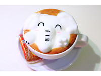 ▲▼ 台北Oyami cafe。（圖／萍子 提供）