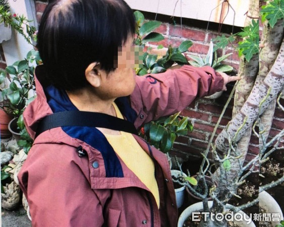 ▲彰化田中鎮婦人家中生子之花被小偷當垃圾丟圳溝。（圖／記者唐詠絮翻攝）