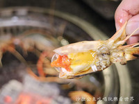 貨源是從屏東產地直送的道地泰國蝦，公蝦有很多蝦膏；母蝦則是有抱卵，口感各有各特色。