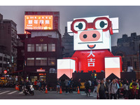 ▲▼2019台北燈節,台北燈節主燈,豬寶。（圖／記者李毓康攝）