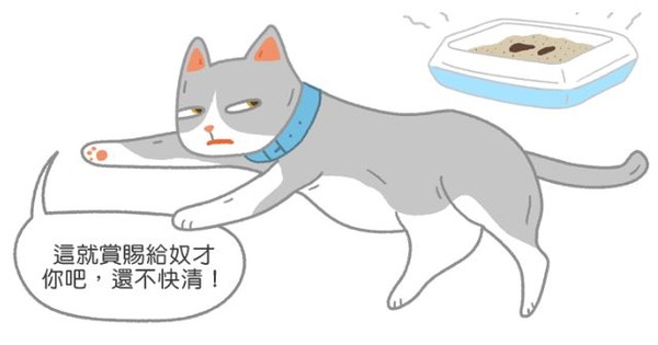 ▲喵喵真心話!為啥又不埋大便?超霸氣理由曝光。(圖/毛起來提供)