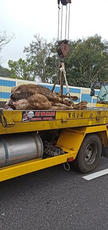 ▲快訊／國3後車撞前車　前車再撞紐澤西護欄「牛壓死、人飛出」。（圖／記者陳凱力翻攝）