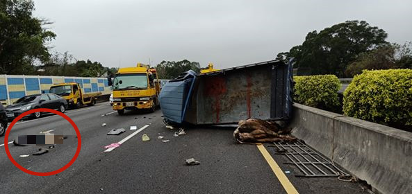 ▲快訊／國3後車撞前車　前車再撞紐澤西護欄「牛壓死、人飛出」。（圖／記者陳凱力翻攝）