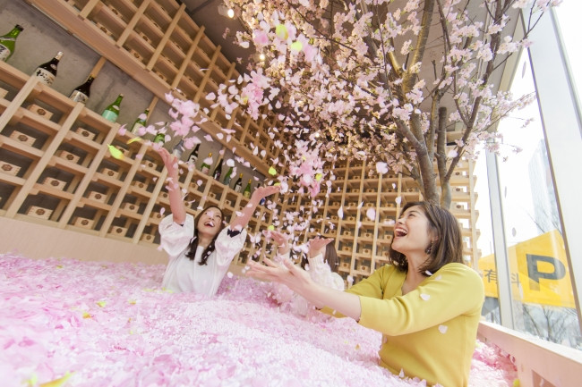 酒吧期間限定「櫻花浴」　灑滿120萬片櫻花瓣（圖／sakurachillbar）