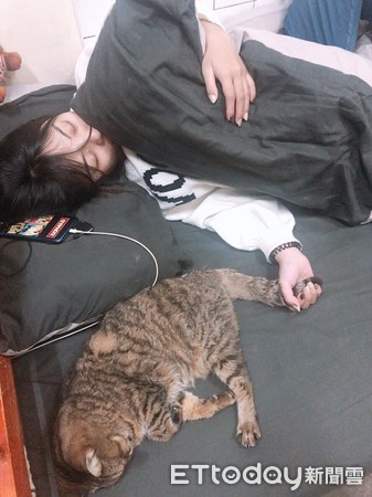 貓咪胖胖睡覺跟奴才神複製。（圖／飼主Stella Nian提供）