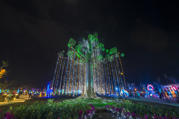 奇幻阿凡达生命树在夜里发光!台湾灯会美南岛
