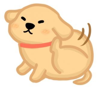 ▲狗狗異位性皮膚炎的好發部位。(圖/毛起來提供)