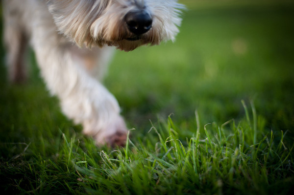 ▲▼。(圖/毛起來提供)