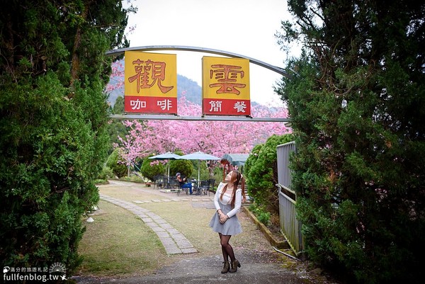 ▲▼拉拉山觀雲休憩山莊-蹤行山林。（圖／滿分提供）