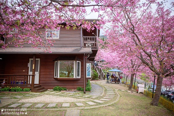 ▲▼拉拉山觀雲休憩山莊-蹤行山林。（圖／滿分提供）