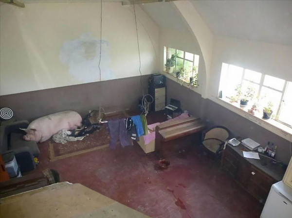 房仲瞎照(图/翻摄自http://terriblerealestateagentphotos.com/)