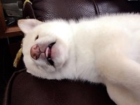 （圖／瓦力爸爸提供，請勿隨意翻拍，以免侵權。）