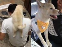 （圖／瓦力爸爸提供，請勿隨意翻拍，以免侵權。）