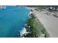 ▲石門老梅綠石槽。（圖／蒲．臺島 Gold2TW提供）