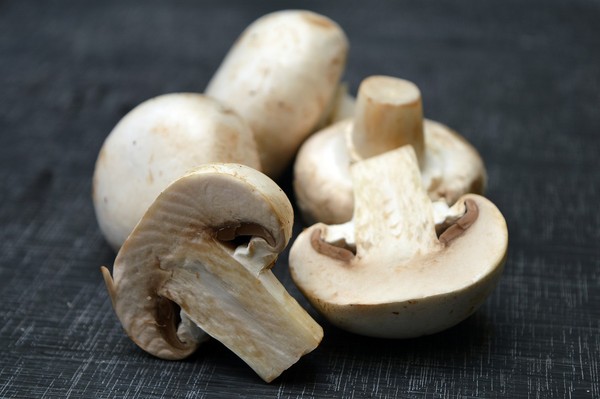 ▲▼香菇,洋菇,蘑菇,白菇。（圖／翻攝自pixabay）