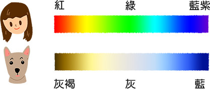 ▲▼。(圖/毛起來MaoUp 提供)