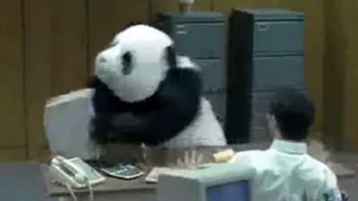 誰說熊貓沒有攻擊性？這隻兇到會讓你七天不能上班