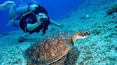 不會游泳也能潛水！0負重自由潛水遊覽海底　旱鴨子也能當美人魚