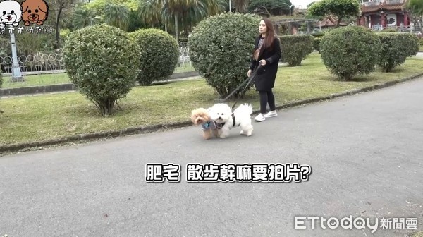 ▲遛狗途中搞「放生」！愛犬超嗨奔跑...主人被無視：心已碎。（圖／粉專「希露弟弟啃雞腿」提供。）