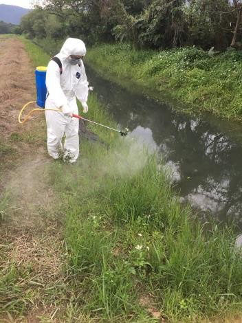 ▲▼關渡公園棄死雞被驗出染禽流感。（圖／台北市動保處提供）