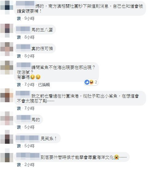 宜蘭大白鯊剖腹還有14隻小Baby，衝浪教練PO文感嘆。（圖／翻攝自Facebook／當事人）