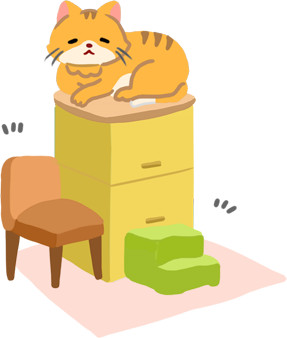 ▲▼。(圖/毛起來提供)