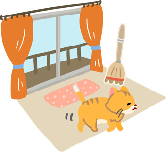 ▲▼。(圖/毛起來提供)